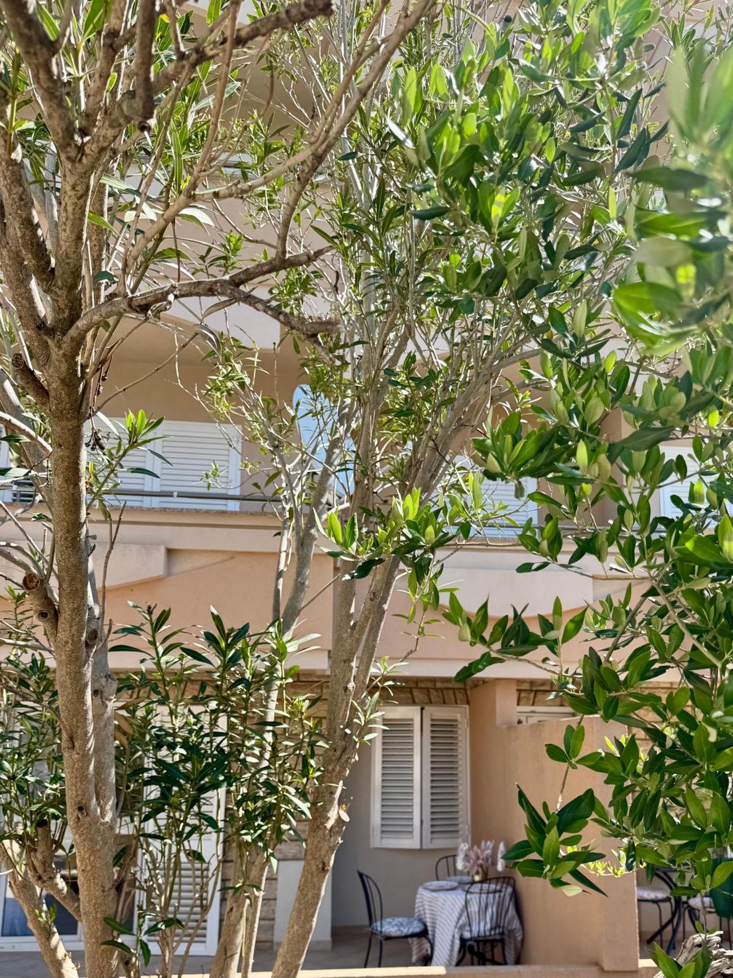 Apartments Toma Novalja Dış mekan fotoğraf